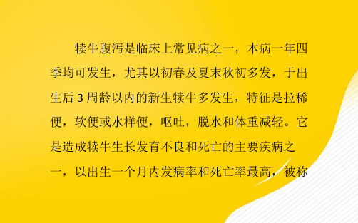 犊牛腹泻原因及预防优秀PPT资料