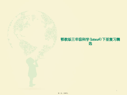 鄂教版三年级科学下册复习