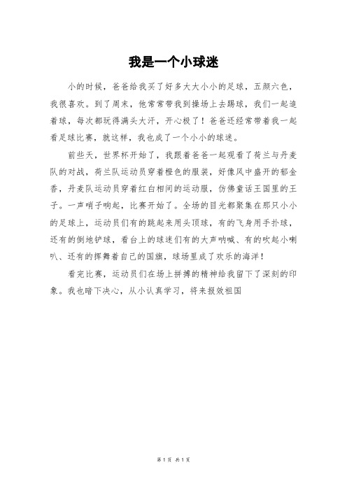 我是一个小球迷_三年级作文