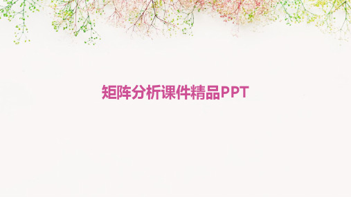 矩阵分析课件精品PPT