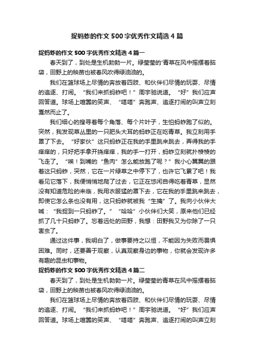 捉蚂蚱的作文500字优秀作文精选4篇