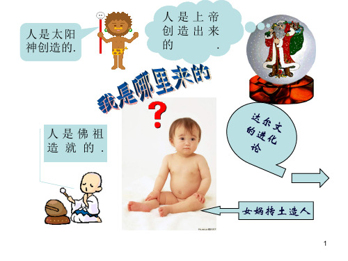 27第一课《人猿相揖别》PPT课件
