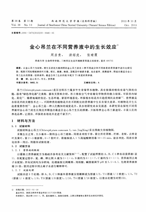 金心吊兰在不同营养液中的生长效应