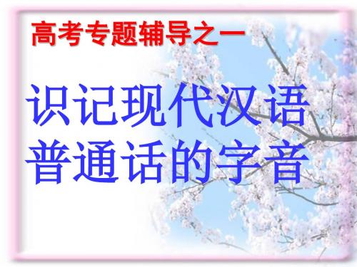 _高考语文语音专题复习