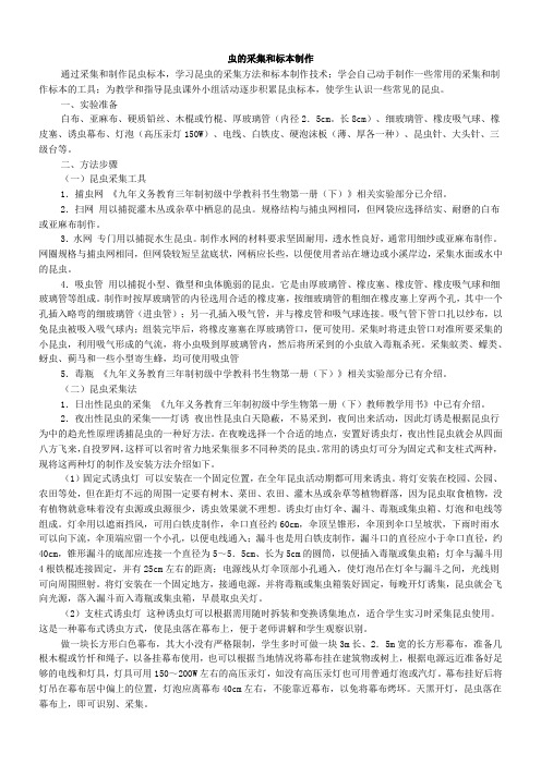 虫的采集和标本制作