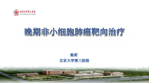 晚期非小细胞肺癌靶向治疗