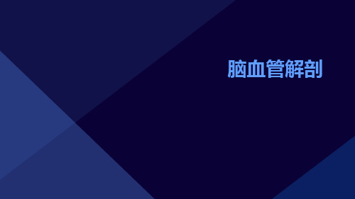 (医学课件)脑血管解剖