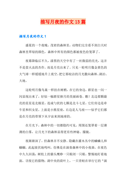 描写月夜的作文13篇