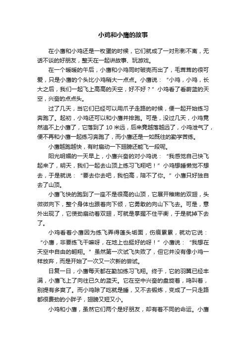 小鸡和小鹰的故事