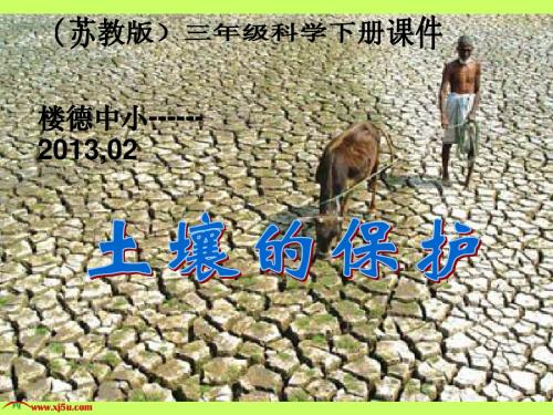苏教版小学科学三年级下册《土壤的保护》课件----楼德中小