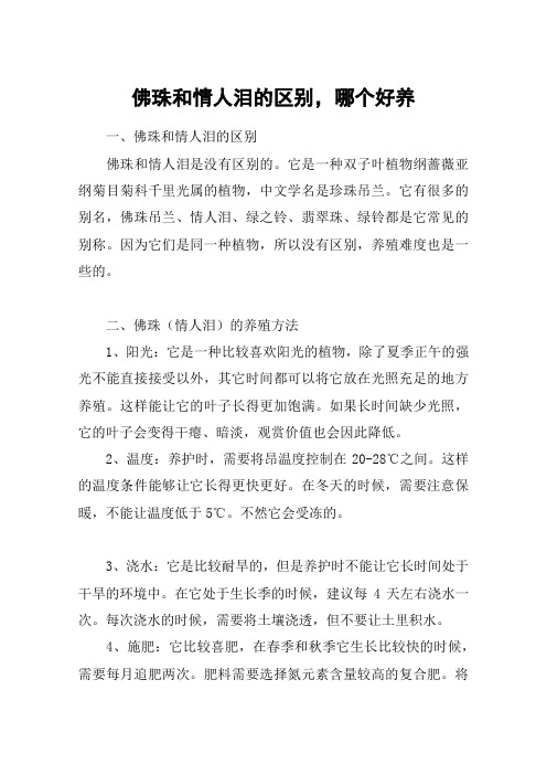 佛珠和情人泪的区别,哪个好养