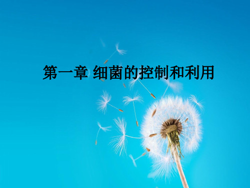 细菌的控制和利用PPT教学课件