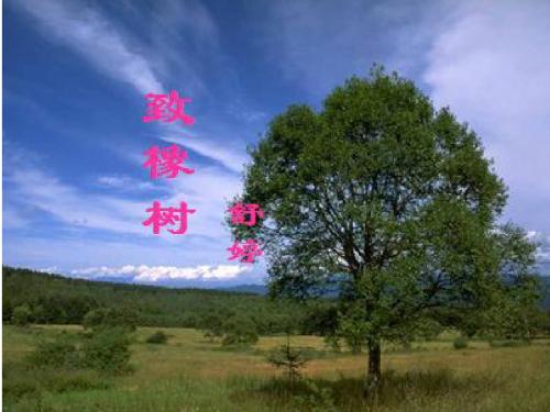 致橡树讲课