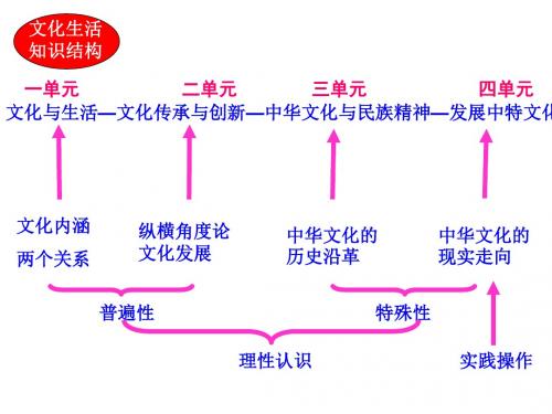 文化生活复习PPT课件2 人教课标版