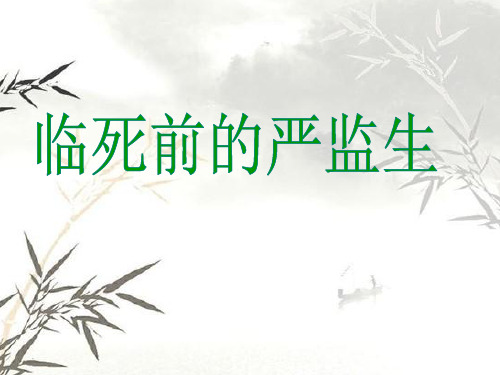 临死前的严监生模板