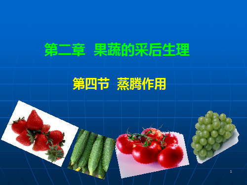 第四节蒸腾作用 - 2013年山西农业大学果蔬储运学ppt课件