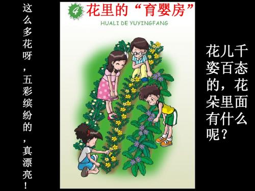 四、花里的“育婴房”