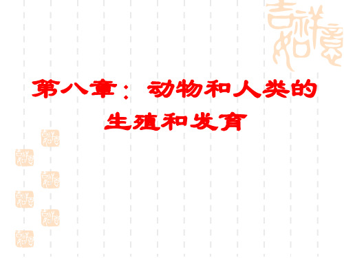 初中八年级(初二)科学课件 动物和人类的生殖和发育