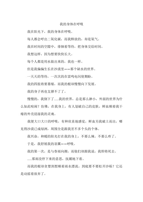 我的身体在呼吸-作文