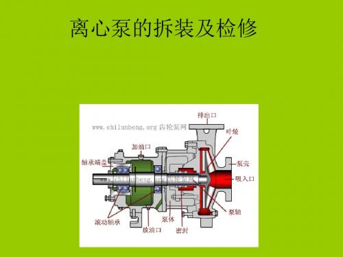 离心泵的拆装及检修(一)