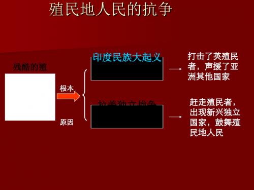 人教版历史课件：《殖民地人民的抗争》PPT1