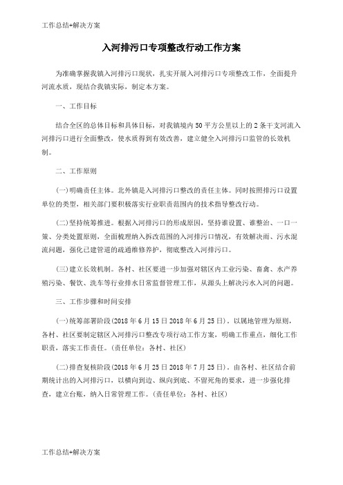 【方案+总结】入河排污口专项整改行动工作方案