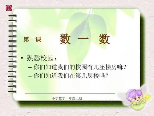 人教版 小学数学 数一数