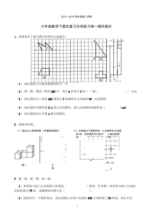 六年级下册总复习分项练习实践操作题画图题