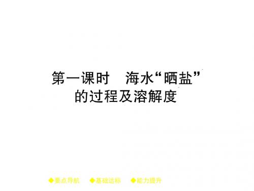 九年级化学下册(鲁教版)教学课件第8单元 第二节 第一