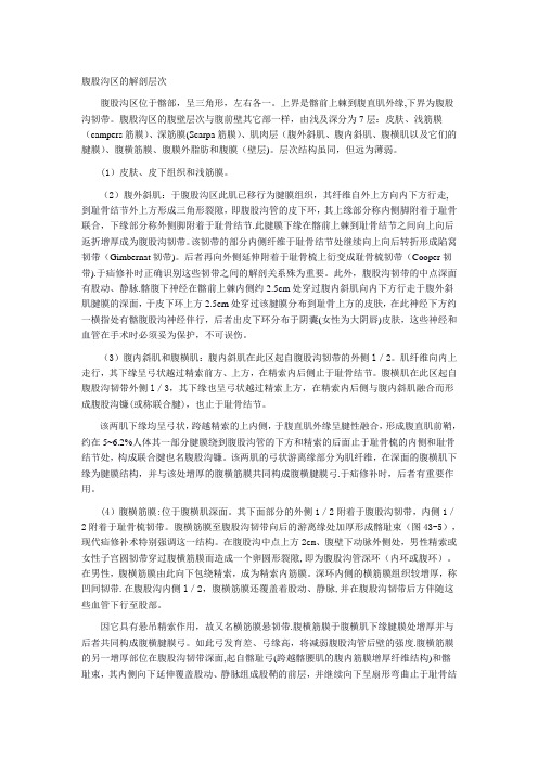 腹股沟区解剖层次