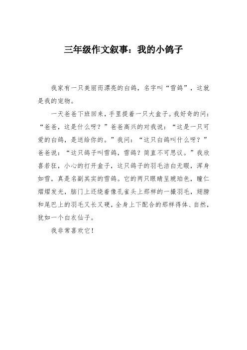 三年级作文叙事：我的小鸽子