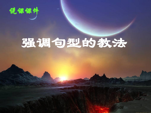 高考英语语法复习 强调句型PPT课件