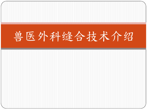兽医外科缝合技术介绍