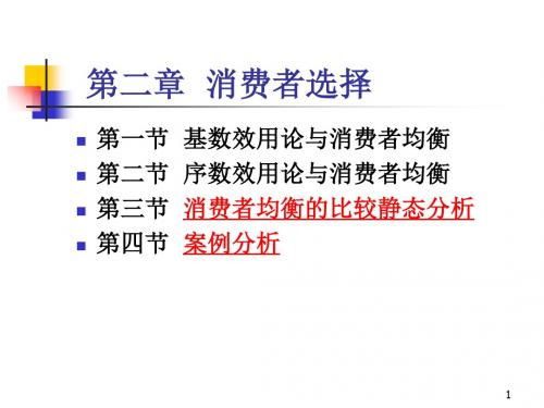 第2章消费者选择