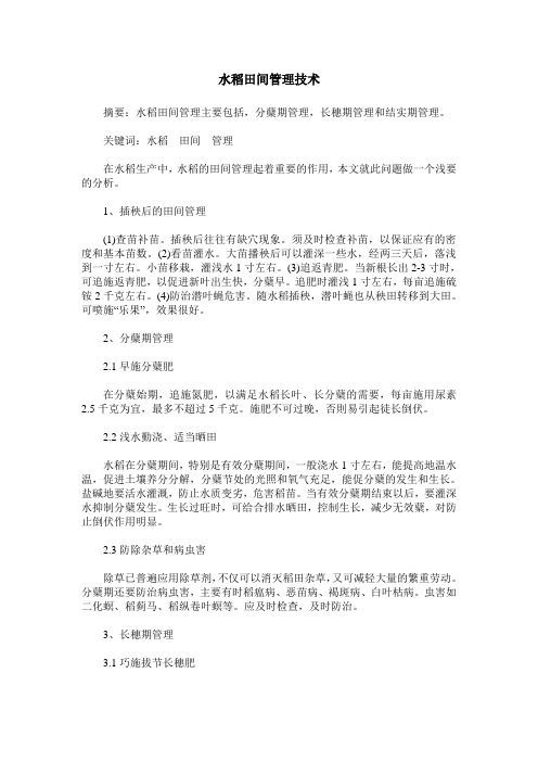 水稻田间管理技术