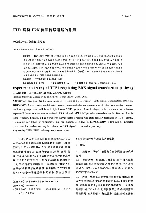 TTF1调控ERK信号转导通路的作用