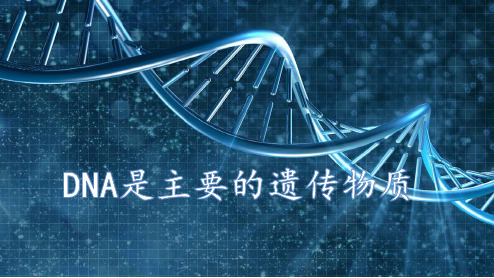 DNA是主要的遗传物质 高中生物必修二教学课件PPT 人教版