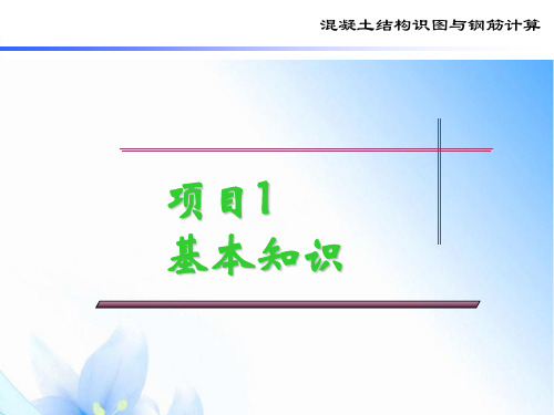 项目1 基本知识