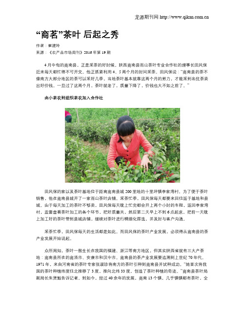 “商茗”茶叶 后起之秀