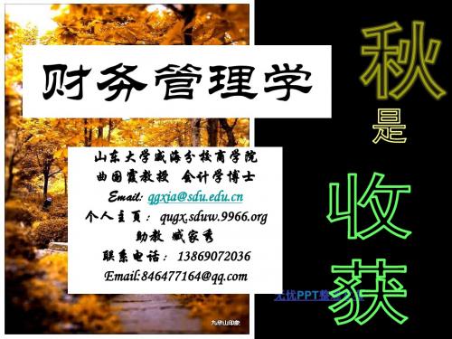 财务管理学第一章总论