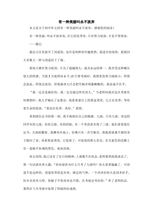 有一种美丽叫永不放弃_初中作文