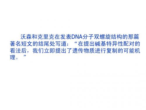 DNA的复制2