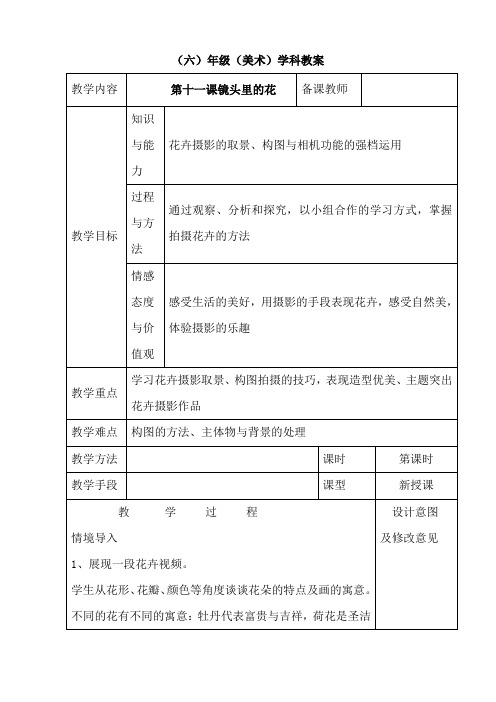 六年级上册美术教案11镜头里的花_人美版