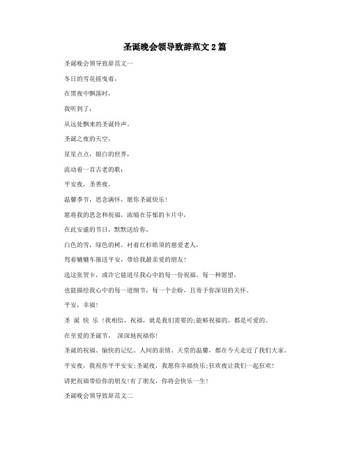 圣诞晚会领导致辞范文2篇