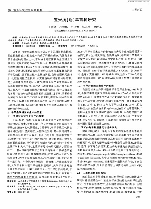 玉米抗(耐)旱育种研究