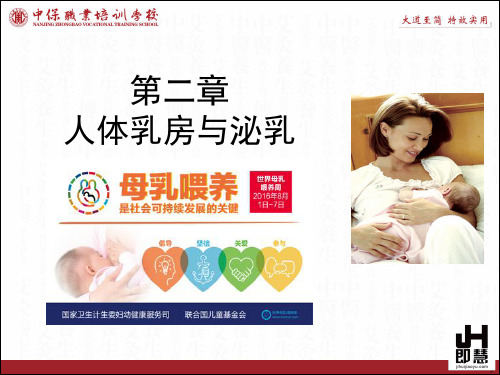 金牌催乳师——人体乳房与泌乳
