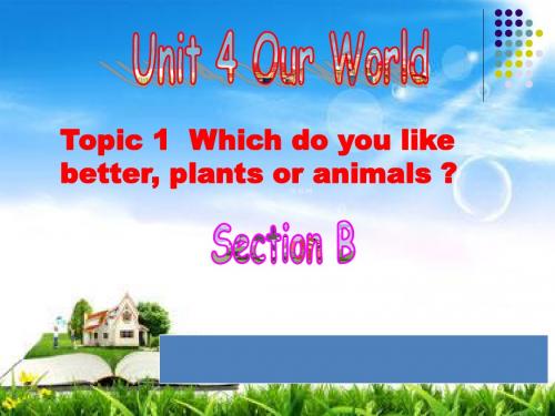 【最新】仁爱版八年级英语上册Unit 4 Topic 1 Section B 优质课课件