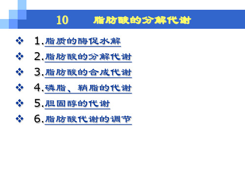 脂类分解ppt课件