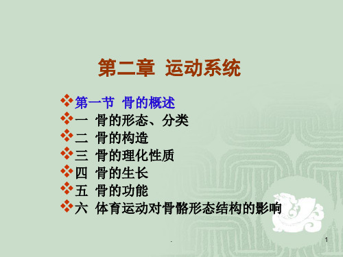骨概述