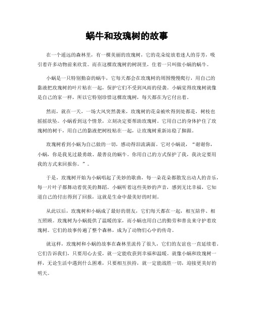 蜗牛和玫瑰树的故事